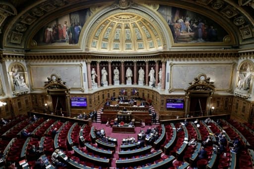 Le Parlement français s'apprête à adopter définitivement au Sénat une loi facilitant les restitutions d'œuvres pillées durant la colonisation, réclamées depuis des années en Afrique