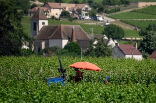 Une personne se rafraîchit à une fontaine pendant un épisode de forte chaleur en France