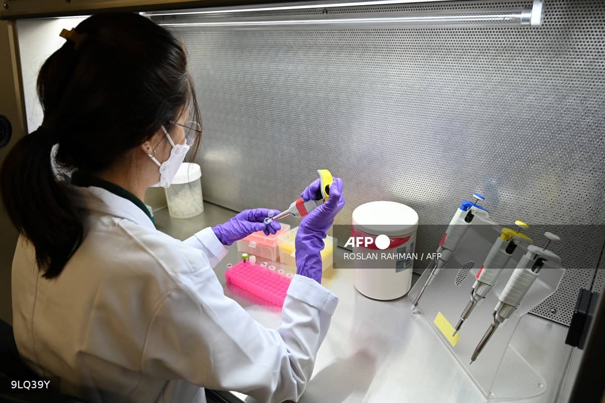 Fuite Cegedim : vos données médicales dans la nature, et maintenant ?