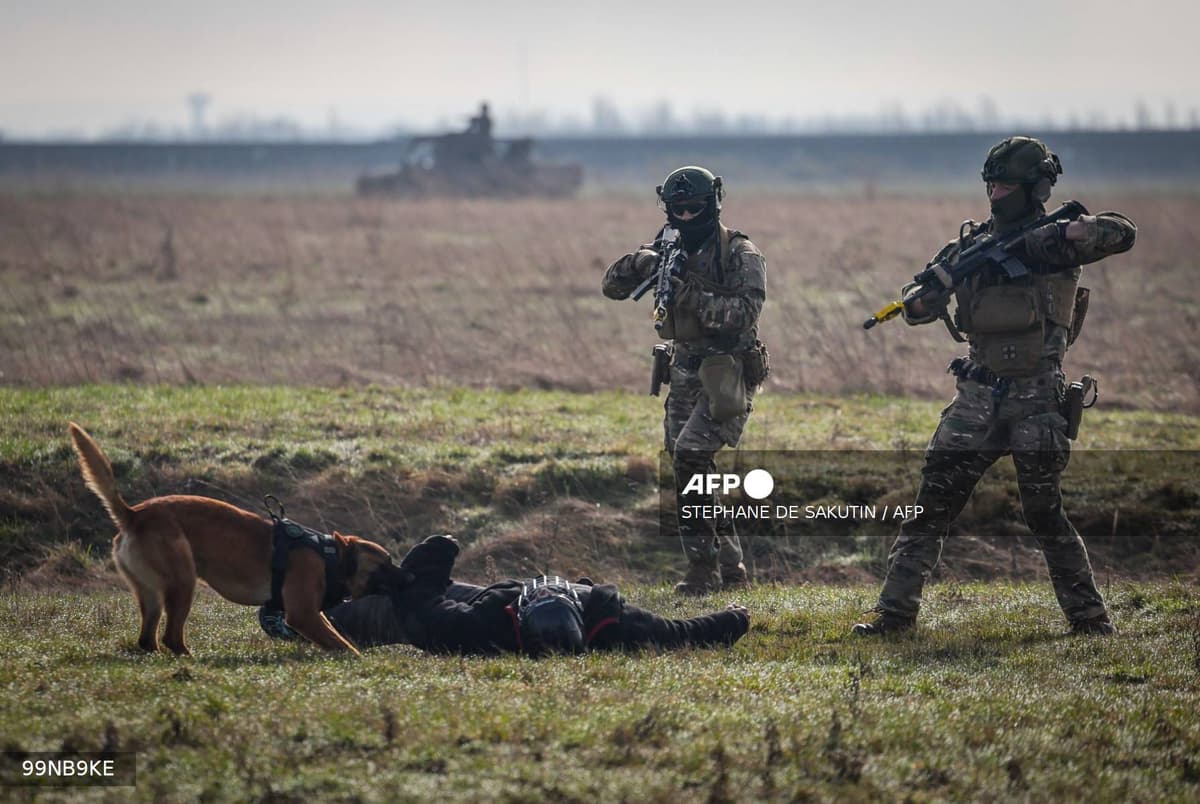S'engager dans la réserve : le guide pour ceux qui veulent agir