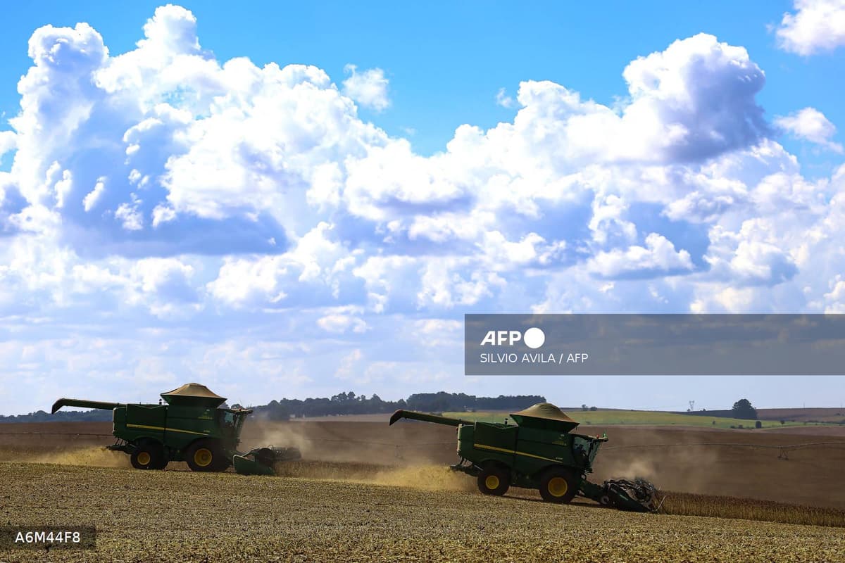 Moissonneuses-batteuses dans un champ de cereales illustrant la crise agricole du GNR et des engrais