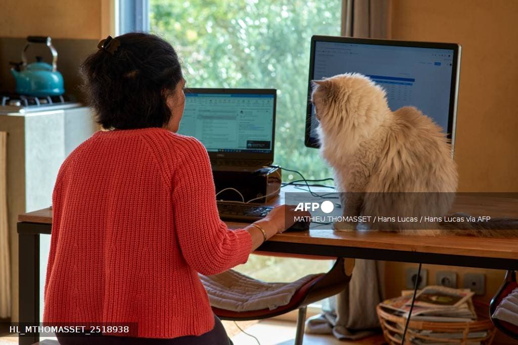 Salariee travaillant a domicile sur un ordinateur pendant la penurie de carburant en France