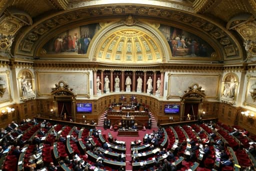 Nouvelle-Calédonie : le corps électoral élargi aux natifs avant les provinciales