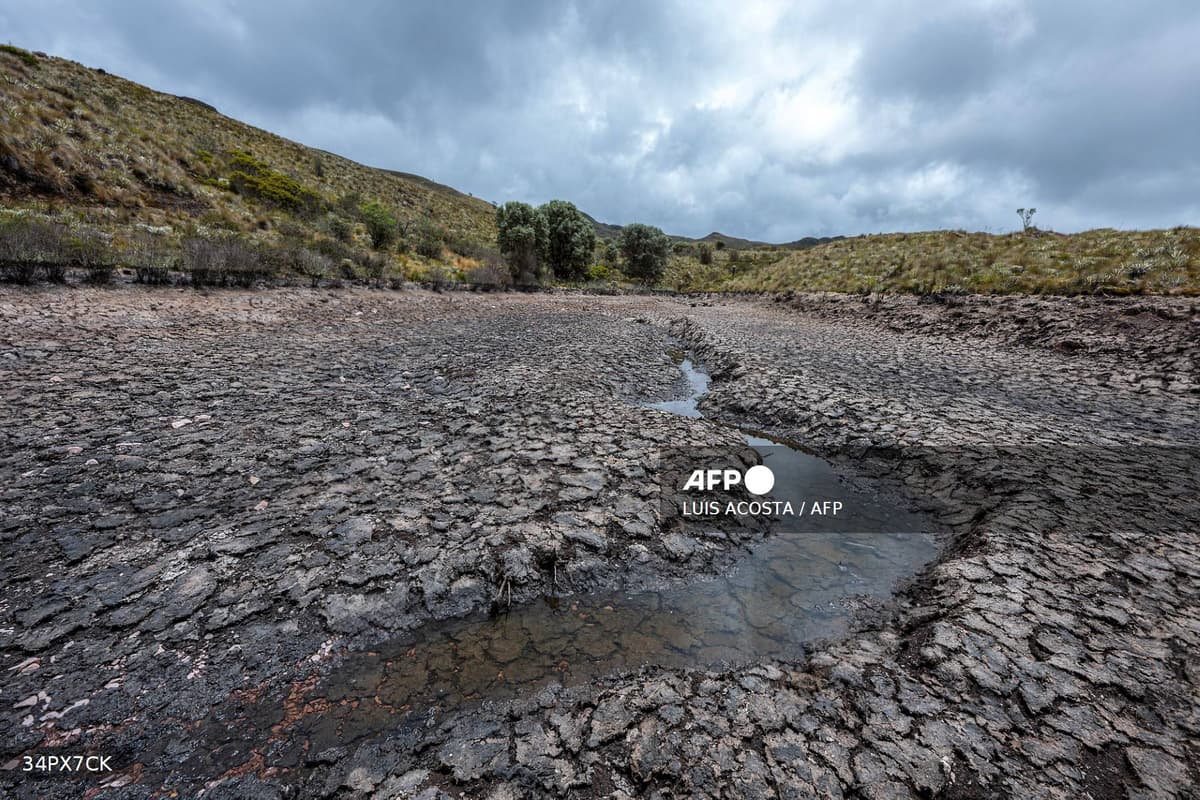 Sol craquelé par la sécheresse liée à El Niño en Colombie, avec une flaque d'eau résiduelle