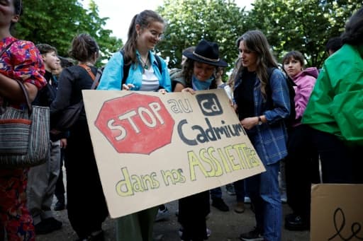 Une pancarte « Stop au cadmium dans nos assiettes » lors d'une manifestation