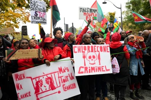 Manifestation de la diaspora d'outre-mer pour les victimes du chlordécone à Paris