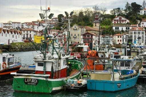 Golfe de Gascogne : la pêche de nouveau fermée l'hiver pour protéger les dauphins