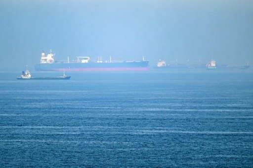 Des cargos à l'entrée du détroit d'Ormuz, dans le golfe d'Oman