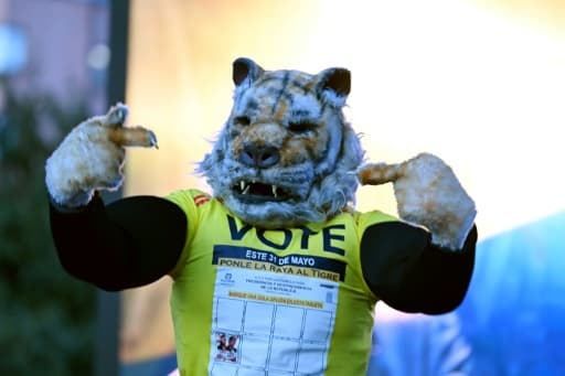 Un partisan du candidat colombien de droite Abelardo de la Espriella déguisé en tigre, son emblème de campagne, lors d'un meeting