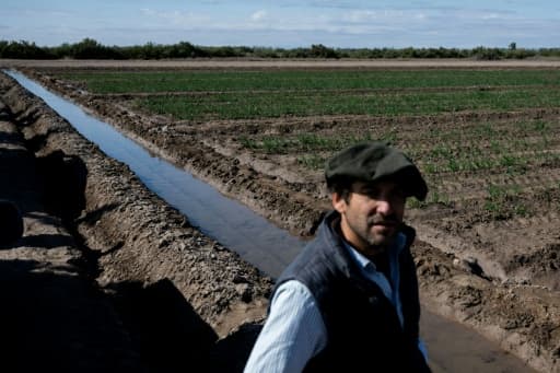 Nicolas Yanzon devant un canal d'irrigation et ses champs d'oignons