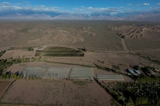 Un vignoble entouré de terres arides dans la province de San Juan, en Argentine