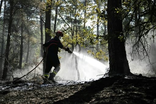 Un pompier arrose le sous-bois lors de l'incendie de la forêt de Fontainebleau