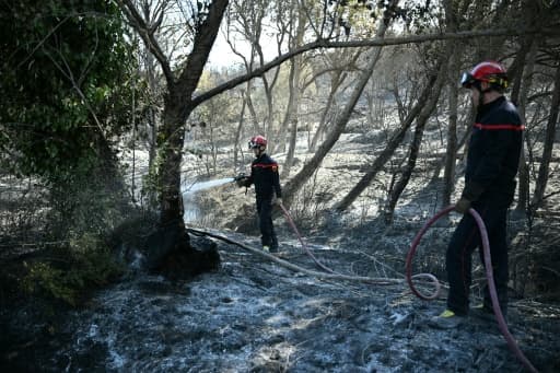 Deux pompiers arrosent le sol calciné d'un sous-bois dans les Pyrénées-Orientales