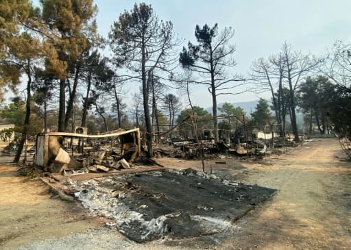 Carcasses de caravanes et arbres calcinés dans un camping détruit par le feu à l'ouest de Madrid