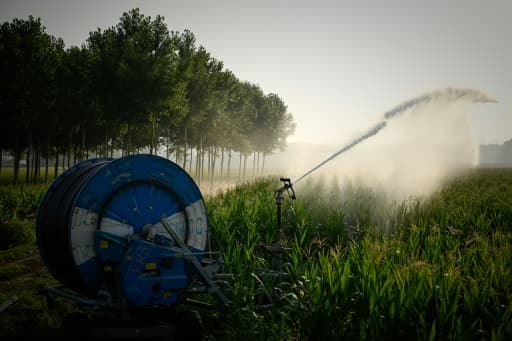 Un enrouleur d'irrigation arrose un champ de maïs en Gironde pendant une vague de chaleur