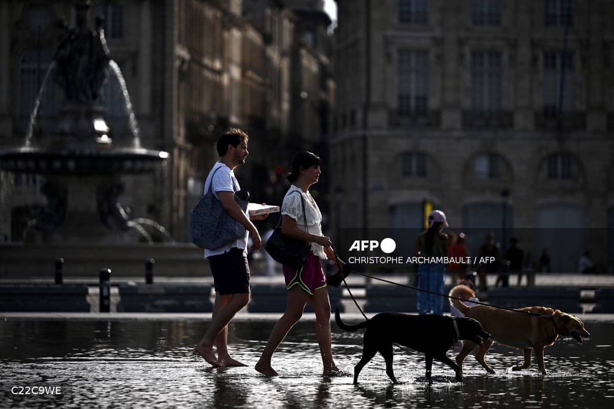 Deux promeneurs pieds nus et leurs chiens traversent un miroir d'eau pendant une vague de chaleur en France