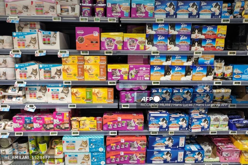 Rayon de croquettes et pâtées pour chats dans un supermarché français avec Whiskas, Felix, Friskies