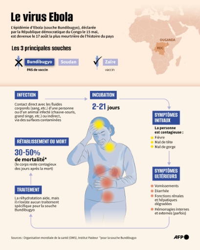Infographie présentant le virus Ebola, sa transmission et ses symptômes