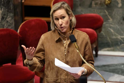 La députée Laure Miller s'exprime à la tribune de l'Assemblée nationale